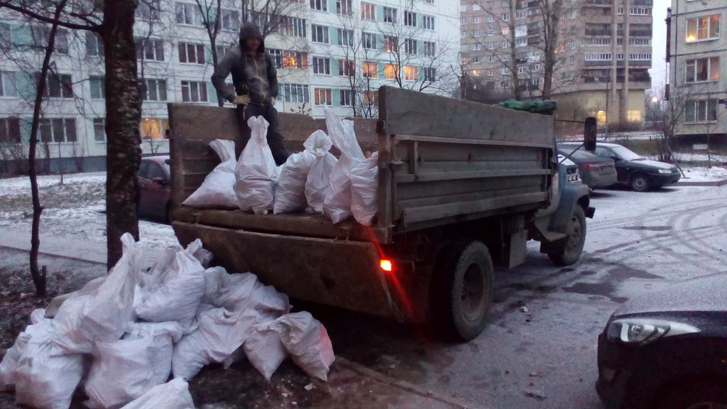 Вывоз мусора в мешках в Брянске в октябре