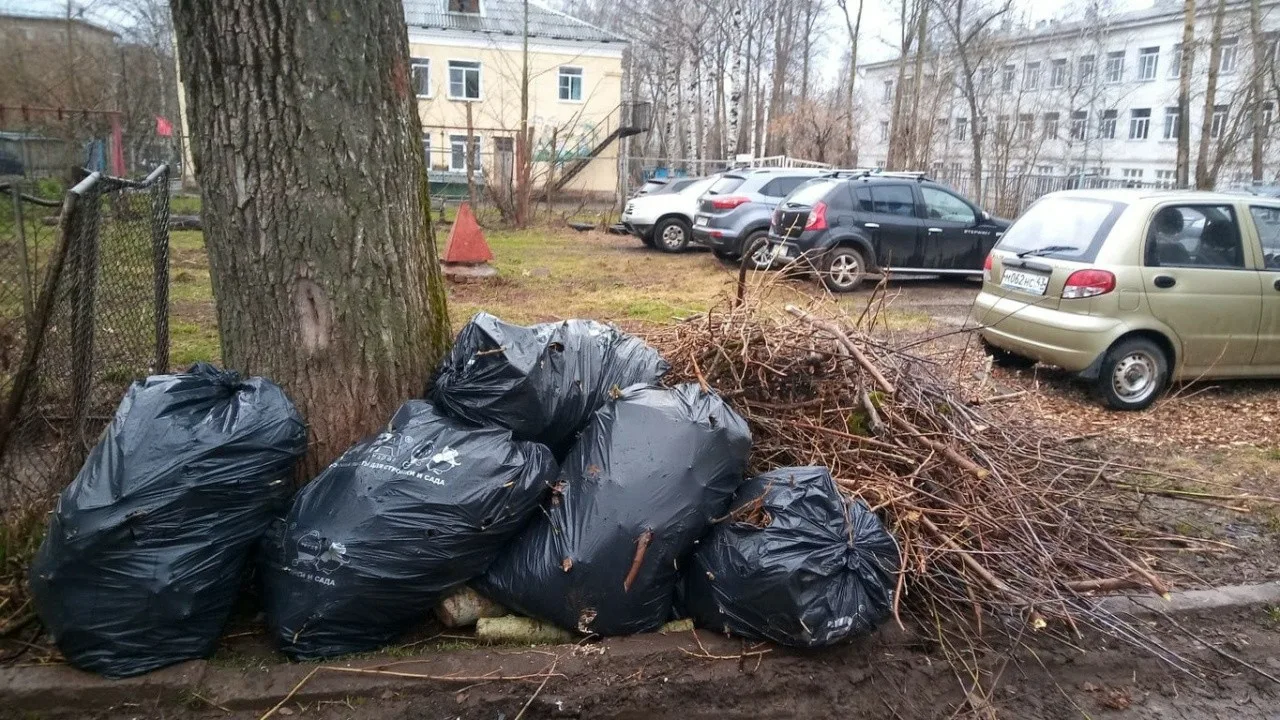 Вывоз мусора после субботника в Брянске от ПроМусор – уборка и утилизация отходов от 2526 руб