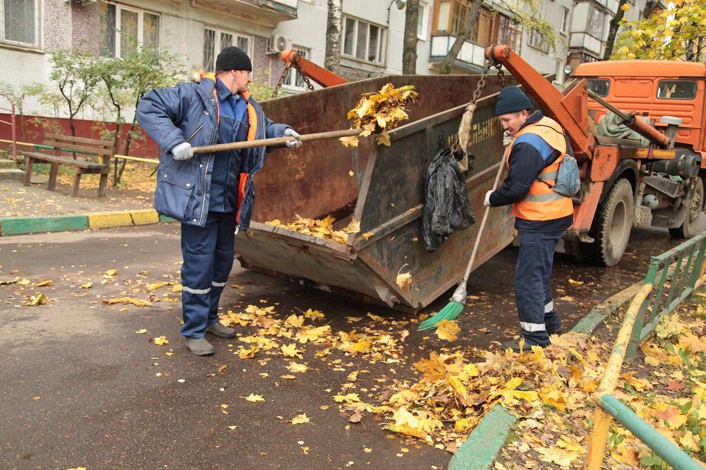 Вывоз опавшей листвы и растительного мусора в Брянске от ПроМусор – цена от 4838 руб., быстрая уборка и утилизация